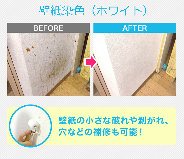 SP_1807kabe05 SP_1807kabe05